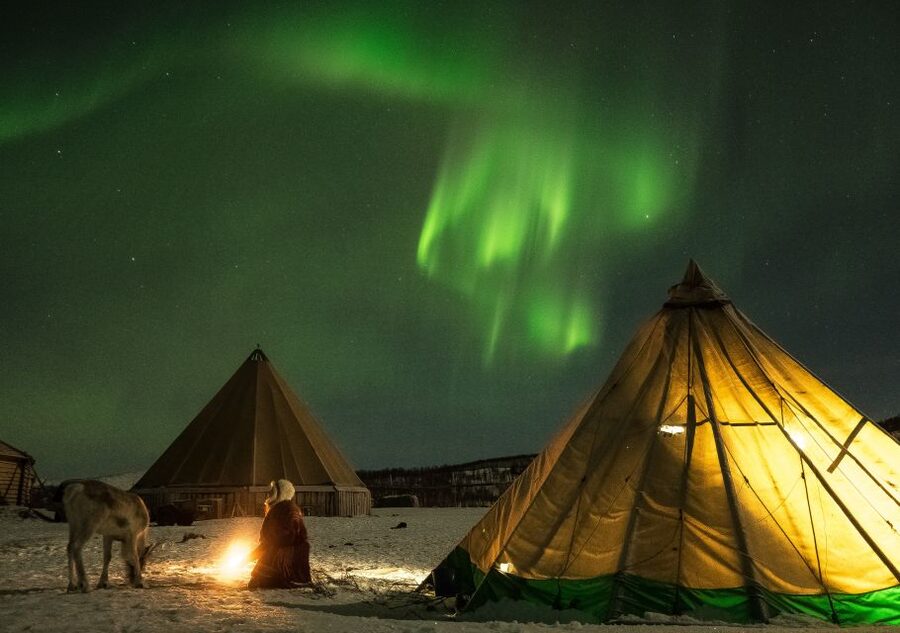 Tromsø: Reindeer Camp Dinner with Chance of Northern Lights - Key highlights