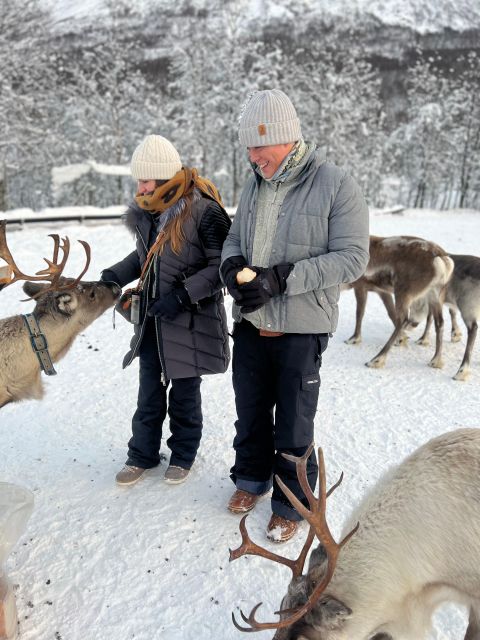 Tromsø: Reindeer Experience at a Sami Camp - Lasso Throwing on Antlers: Fun, Skills, and Timing