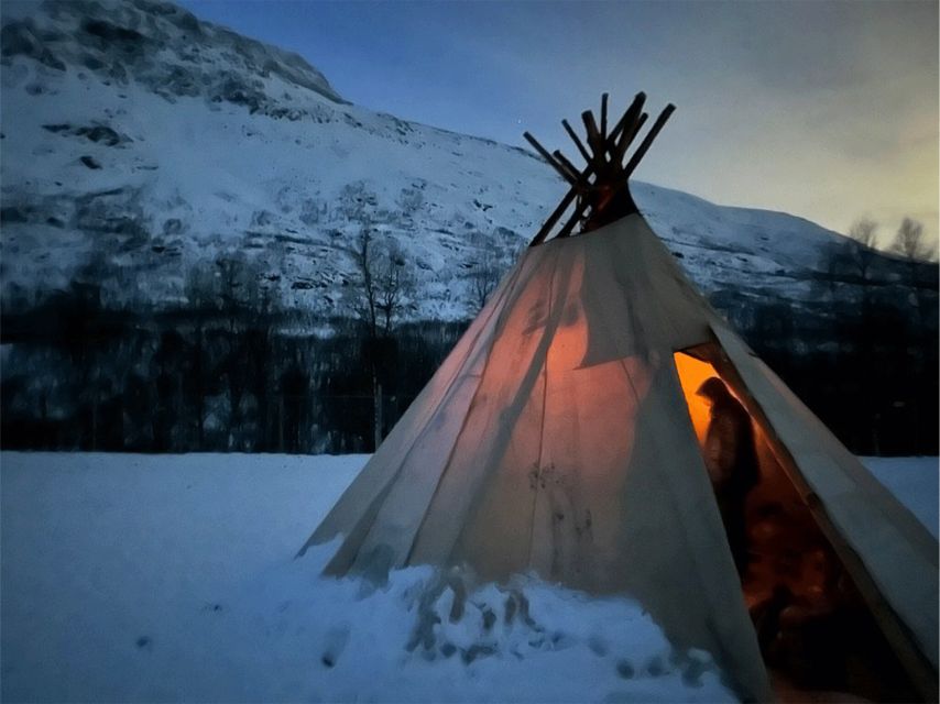 Tromsø: Reindeer Experience at a Sami Camp - Feeding Reindeer: The Part Kids and Adults Talk About