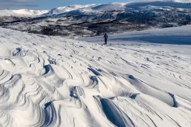 Tromso: Reindeer Feeding and Snowshoeing Tour with Lunch - Key highlights (what you will care about)