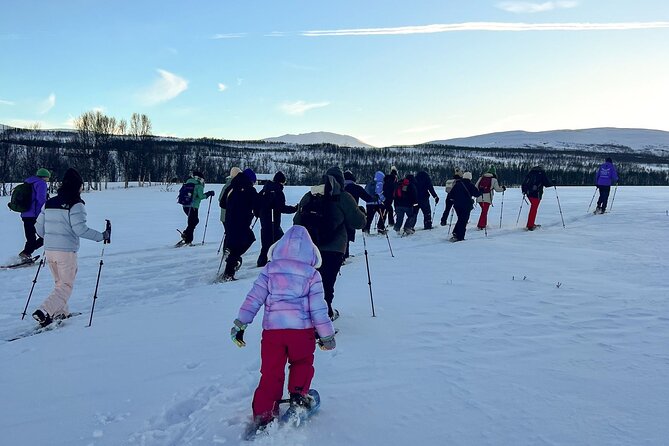 Tromso: Reindeer Feeding and Snowshoeing Tour with Lunch - Tromso in winter: why snowshoeing fits better than just wandering