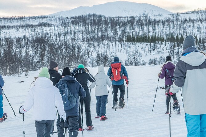 Tromso: Reindeer Feeding and Snowshoeing Tour with Lunch - What to bring (because winter gear is not included)