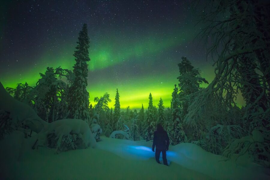 Tromsø: Reindeer Sled, Dinner, and Chance of Northern Lights - Northern Lights chance above the herd: plan for weather, not promises