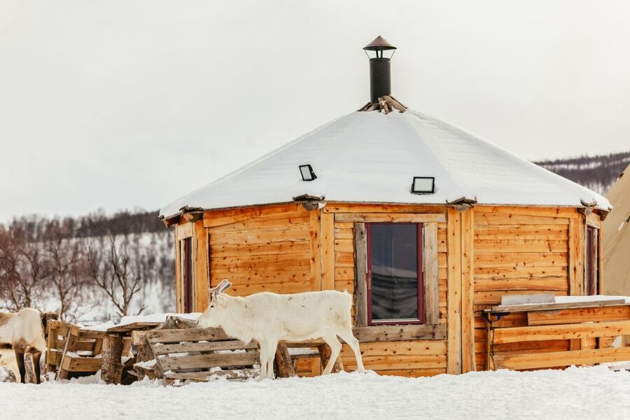 Tromsø: Reindeer Sledding & Feeding with a Sami Guide - Should you book Tromsø Arctic Reindeer with a Sami guide?