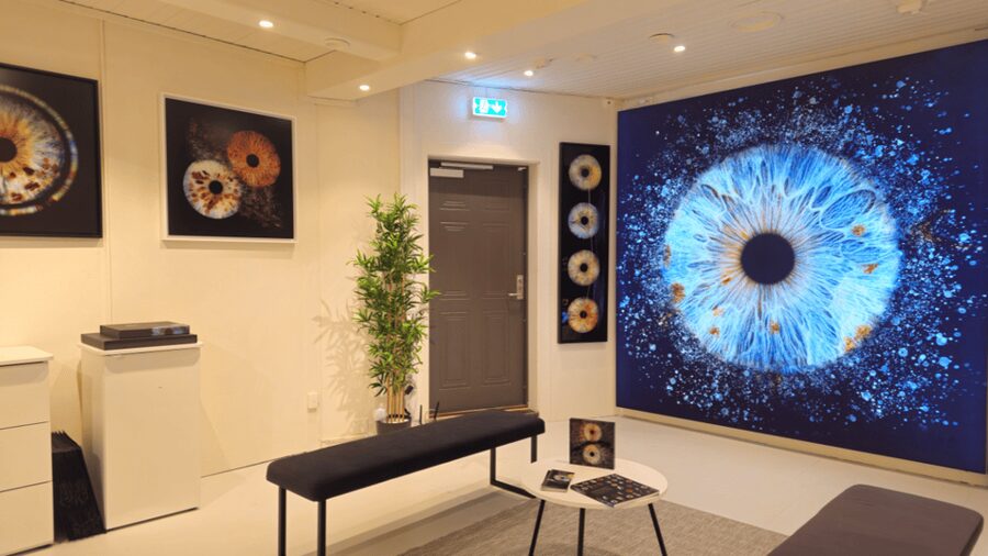 Tromsø: Reveal Your Eye Experience at the Iris Galerie - Key highlights to look for