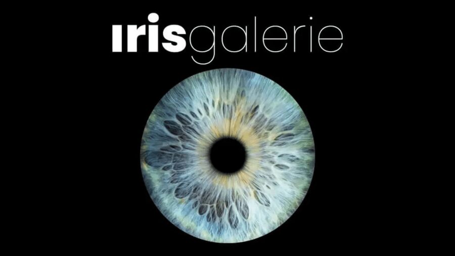 Tromsø: Reveal Your Eye Experience at the Iris Galerie - Iris Galerie in Tromsø: Why your eyes make the best Arctic souvenir