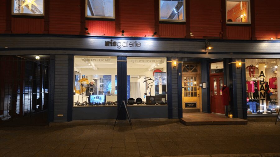 Tromsø: Reveal Your Eye Experience at the Iris Galerie - Price and value at $1.57 per person, plus what to expect next