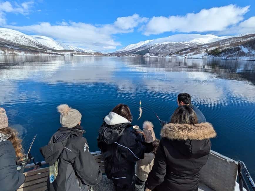 Tromsø’s Top-Rated Fjord & Fishing Cruise – All-Inclusive - Quick hits before you go