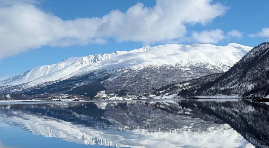 Tromsø’s Top-Rated Fjord & Fishing Cruise – All-Inclusive - Ryøya photo stop: where eagles and sea life become a mission