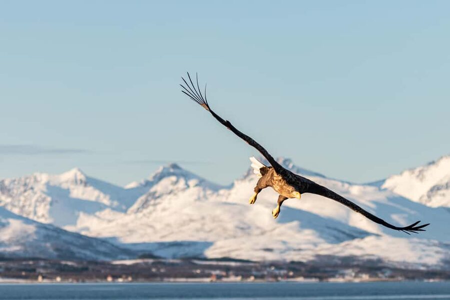 Tromsø’s Top-Rated Fjord & Fishing Cruise – All-Inclusive - Homemade fish soup and hot drinks that actually matter