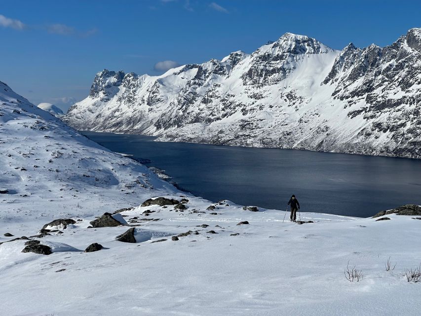 Tromso: Scenic & Eco-Friendly Snowshoeing Tour - Who this tour suits best (and who should skip it)