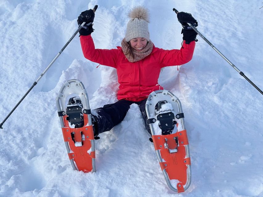 Tromso: Scenic & Eco-Friendly Snowshoeing Tour - From Scandic Ishavshotel to Kvaløya: how the start sets the tone