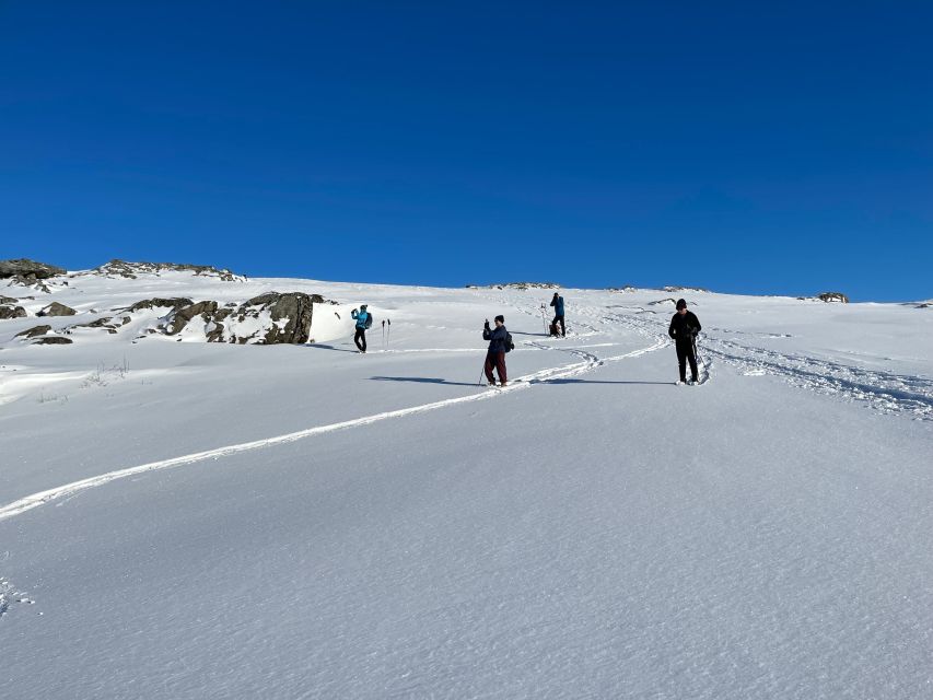 Tromso: Scenic & Eco-Friendly Snowshoeing Tour - A taste of Norway: fish soup as part of the day