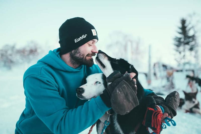 Tromsø: Self-Drive Husky Dog Sledding Adventure - Suits, boots, and the cold reality check