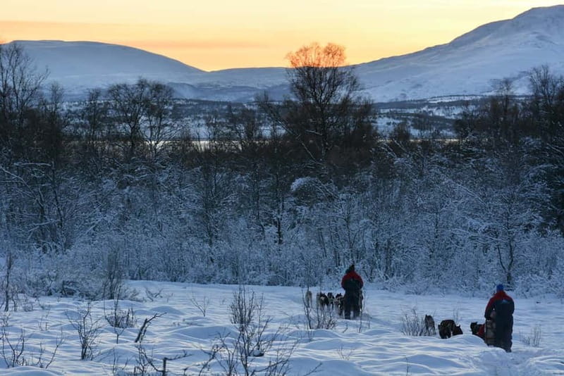 Tromsø: Self-Drive Husky Dog Sledding Adventure - The trail run: 70 to 80 minutes through the Arctic, with photos and hills
