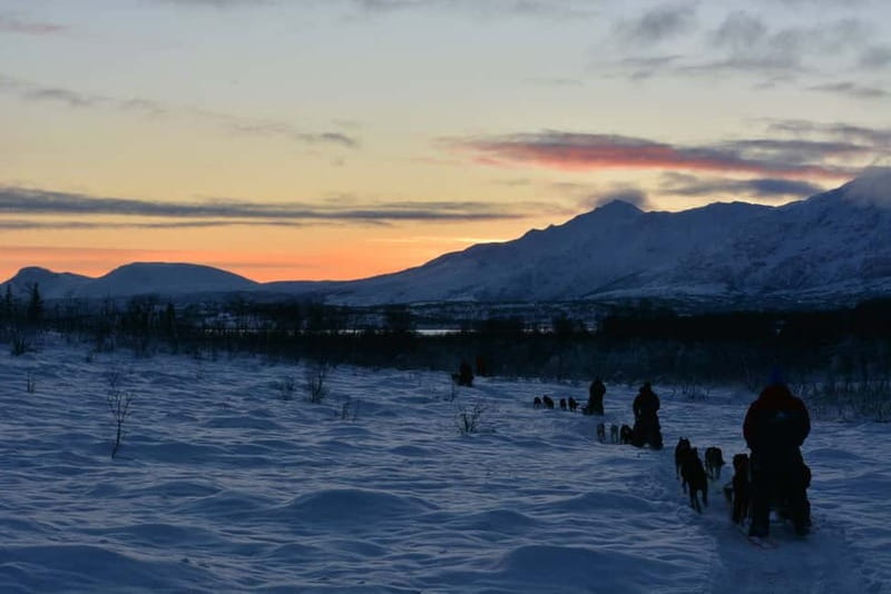 Tromsø: Self-Drive Husky Dog Sledding Adventure - Equipment and what you should actually bring