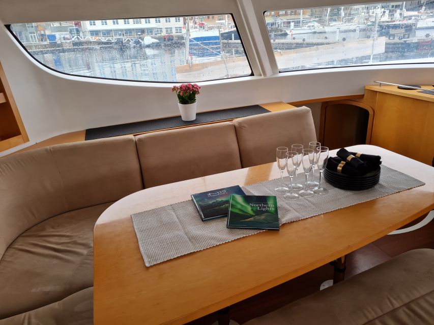 Tromso: Sightseeing Cruise by Catamaran with Snacks & Drinks - Wildlife Spotting Tips That Actually Help on a Catamaran
