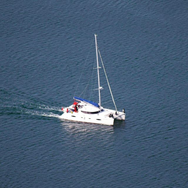 Tromso: Sightseeing Cruise by Catamaran with Snacks & Drinks - Small-Group Feel, Plus Staff Support for Photos and Viewing