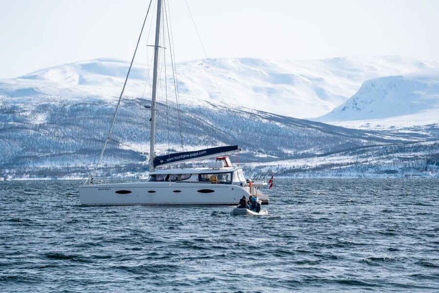 Tromso: Sightseeing Cruise by Catamaran with Snacks & Drinks - Price and Value: Is $136 Worth It?