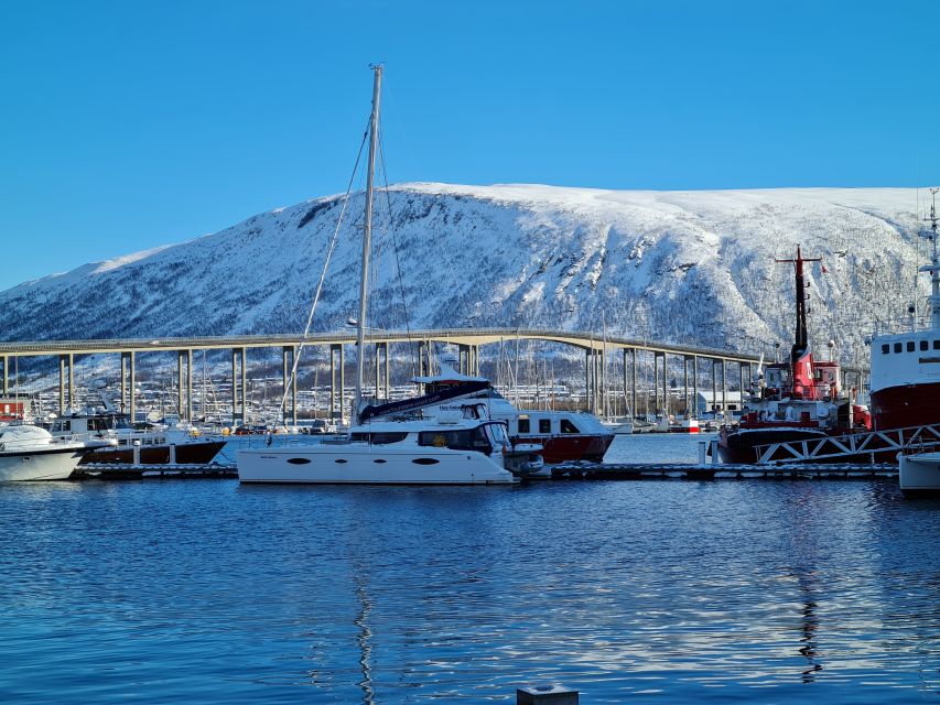 Tromso: Sightseeing Cruise by Catamaran with Snacks & Drinks - Practical Booking Advice Before You Commit