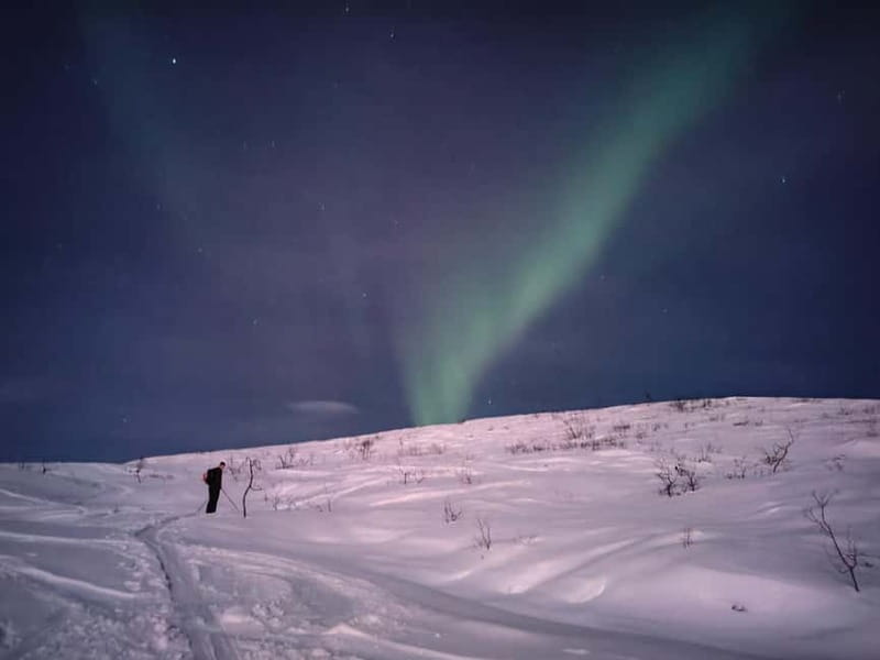 Tromsø: Ski touring (ski de randonnee) - The guides, technique coaching, and that calm expert feeling