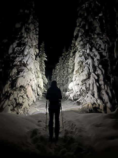 Tromsø: Ski touring (ski de randonnee) - Price and value, what $191 buys you in the Arctic