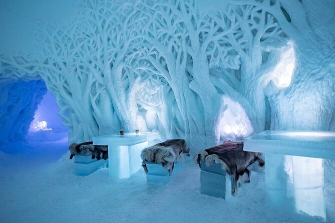 Tromsø Snowmobiling, Ice Domes Snow Park, and Reindeer Visit - Snowmobile 101 on the Arctic track, what you really get