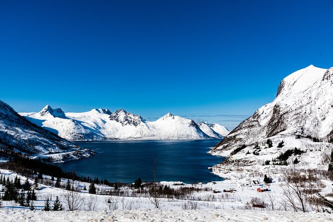 Tromso-Snowshoeing Excursion to Viewpoint - Gear handoff: warm suit, boots, and snowshoes, no stress