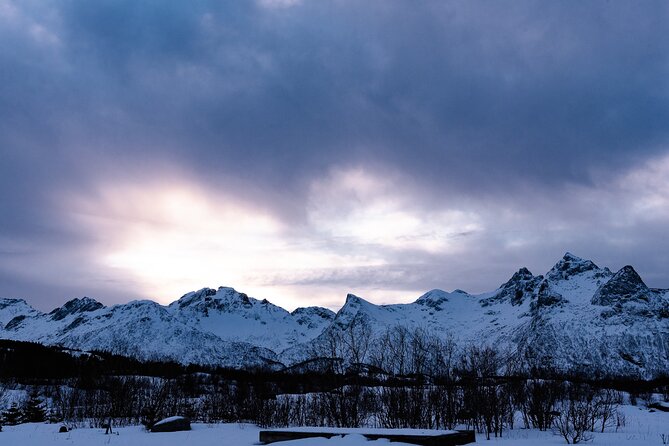 Tromso-Snowshoeing Excursion to Viewpoint - Heading back: back to the car, back to normal life