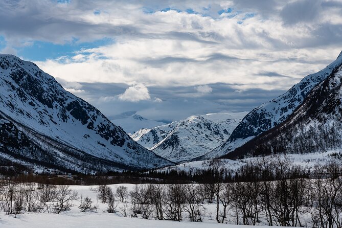 Tromso-Snowshoeing Excursion to Viewpoint - Guides, group size, and the day-to-day feel