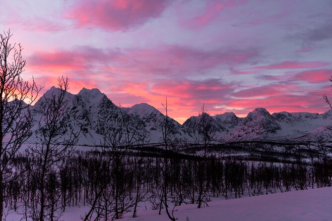 Tromso-Snowshoeing Excursion to Viewpoint - The drive to the viewpoint, plus what you can realistically hope for
