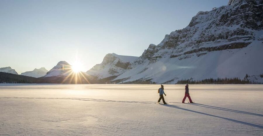 Tromsø: Snowshoeing in Scenic Landscape - Getting There in a Mercedes V-Class From Scandic Ishavhotel