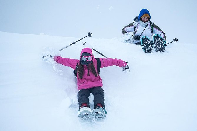Tromso Snowshoeing - Valley, Fjord Views, Wildlife, Meal & Pickup - Snowshoes, Poles, and Weather Plans When Snow Is Light