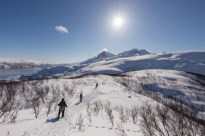 Tromso Snowshoeing - Valley, Fjord Views, Wildlife, Meal & Pickup - The Hike: Fjord-Mountain Views, Wildlife Chances, and Guide Photo Stops