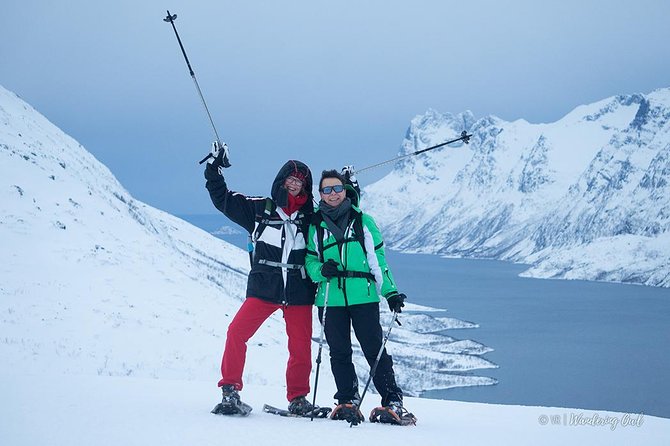 Tromso Snowshoeing - Valley, Fjord Views, Wildlife, Meal & Pickup - Price and Value: What $129.17 Buys You in Real Life