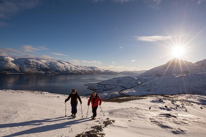 Tromso Snowshoeing - Valley, Fjord Views, Wildlife, Meal & Pickup - Who Should Book This Tromsø Tour, and Who Should Think Twice