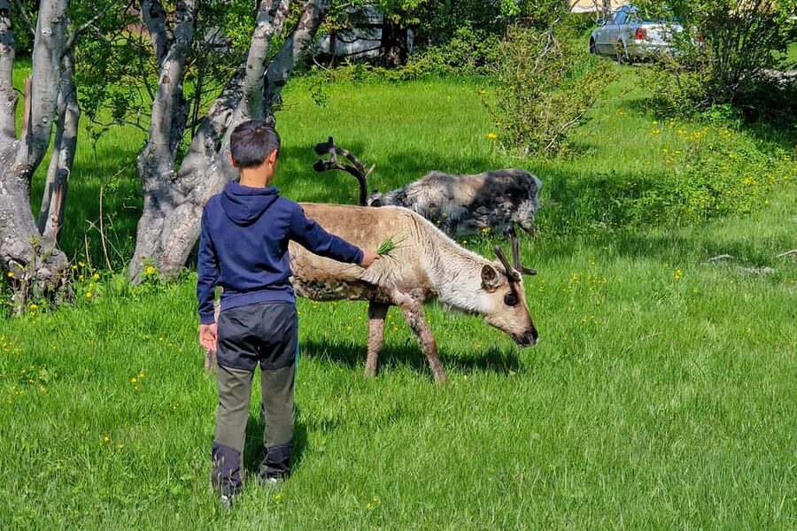 Tromsø: Sommaroy Fjord Tour with Lunch Option & Midnight Sun - Midnight Sun Chance, 9pm to 11pm, and Why It’s Not Guaranteed