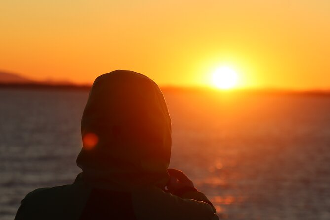 Tromsø & Sommarøy - Private coastal tour with a local - Coffee, snacks, and photo time: the small comforts that stick