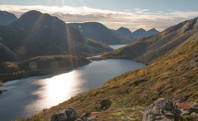 Tromsø: Summer Day Hike in the wilderness - Wildlife, berries, and the honest bug factor in Arctic summer