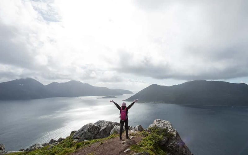 Tromsø: Summer Day Hike in the wilderness - What Wandering Owl includes, and how that changes your planning