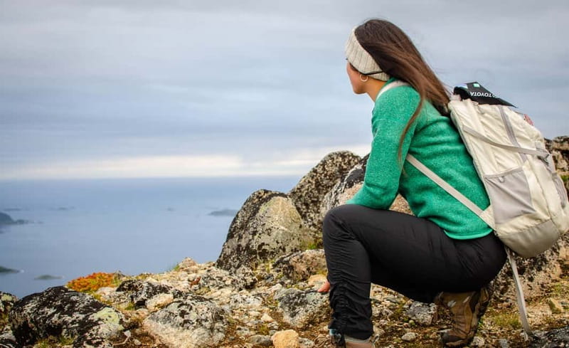 Tromsø: Summer Day Hike in the wilderness - Price and value: what you get for $142 per person