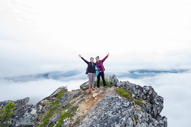 Tromsø: Summer Day Hike with Wandering Owl - What You Learn on the Trail: Flora, Fauna, and Bird-Level Attention