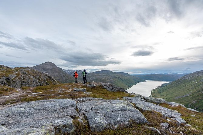 Tromsø: Summer Day Hike with Wandering Owl - Lunch Included: Vegan-Friendly Without the Stress