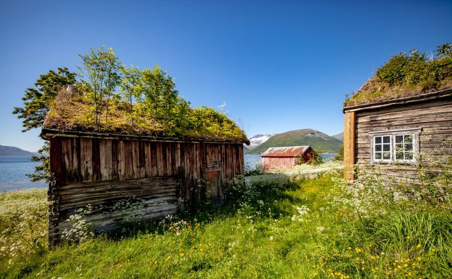 Tromsø: Summer Fjord Road Trip with Citizen Science - Wildlife spotting without the hype: when you look, and when you just breathe