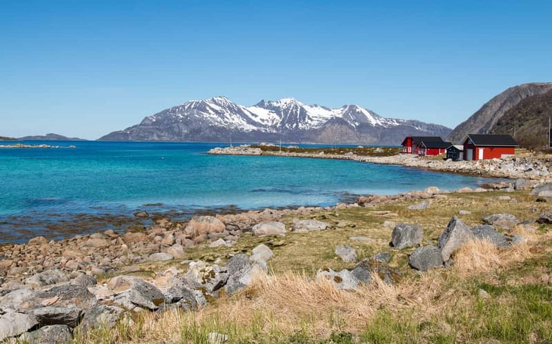 Tromsø: Summer Fjord Road Trip with Citizen Science - The homemade picnic: your midday energy boost, with real dietary flexibility