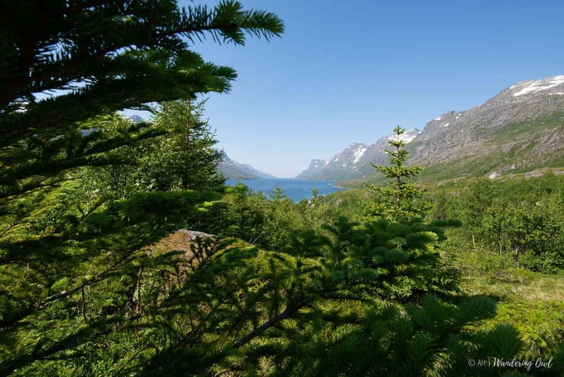 Tromsø: Summer Fjord Road Trip with Citizen Science - Weather, toilets, and what to pack for Arctic road time