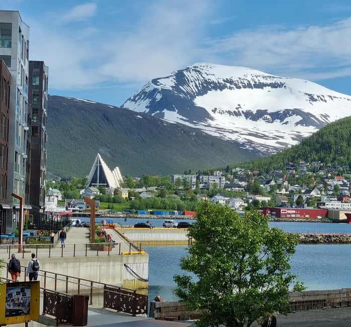 Tromsø Sweet Temptations tour: afternoon tea & chocolates - Who should book Tromsø Sweet Temptations?