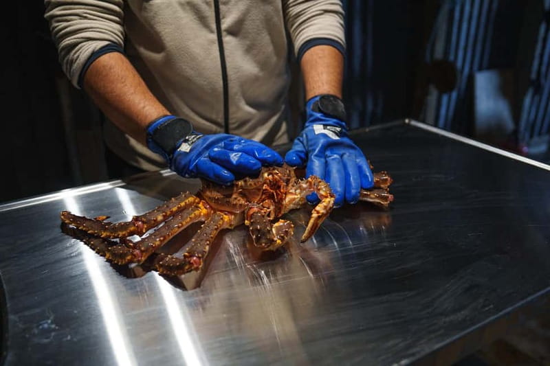 Tromsø: Tasty King Crab Adventure - Key things I’d bet on before you book