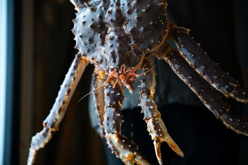 Tromsø: Tasty King Crab Adventure - The fjord drive in a van or bus, and why it matters
