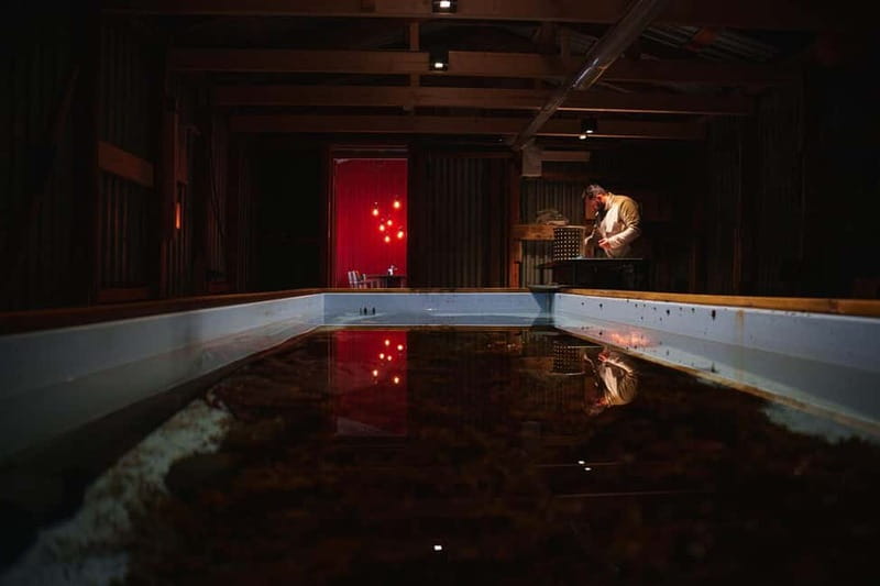 Tromsø: Tasty King Crab Adventure - Aera Panorama Glass Lodge, then the 300-meter walk to the boathouse